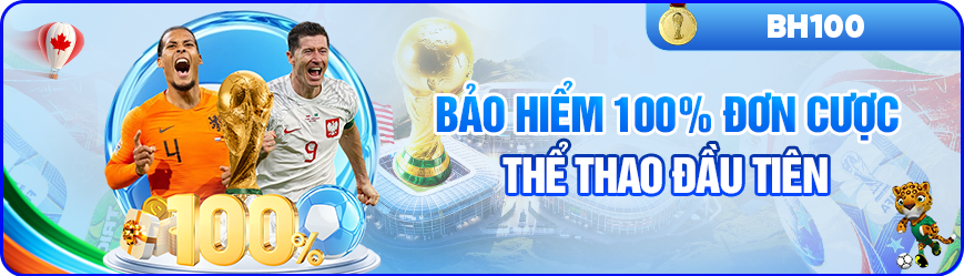 Bảo Hiểm 100% O8